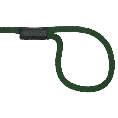 REGAL CONNECTIONS Regal Connection Dock Line, 3/8" x 15' - Forest Green 801538-13